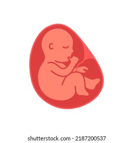 Fetus child in womb flat style icon vector illustration