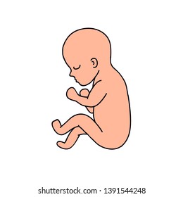 fetus doodle icon, vector illustration