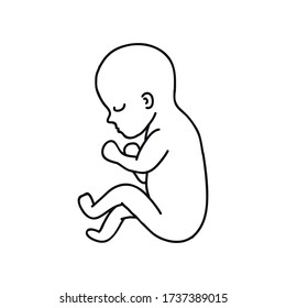 fetus doodle icon, vector illustration