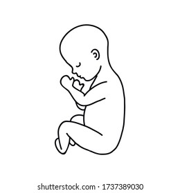icono del doodle de feto, ilustración del vector