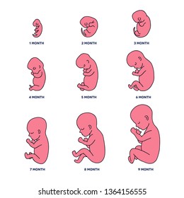 Fetus Doodle Icons Stock Vector (Royalty Free) 1364156555 | Shutterstock