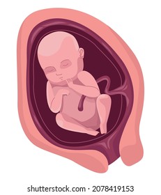 fetus with eight months of gestation
