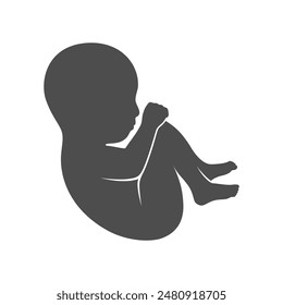 Fetus graphic icon. Embryo human sign isolated on white background. Vector illustration