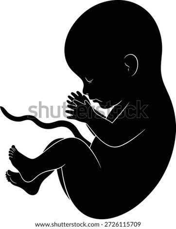 Fetus icon in curled womb position with visible umbilical cord for prenatal, medical, anatomy, and developmental design content.