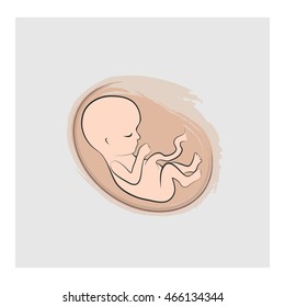 Fetus icon. Embryo stage sketch illustration