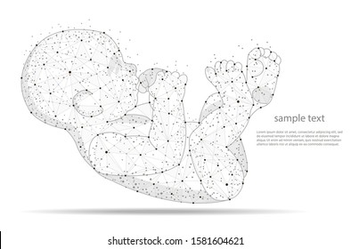 Fetus Icon Isolated on White Background. Frame polygonal mesh human embryo.