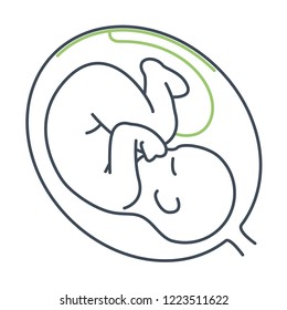 Fetus icon. Picture of embryo and placenta inside the womb.