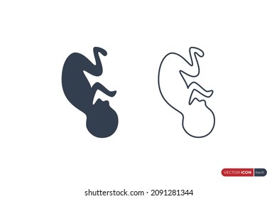 Fetus Icon. Simple Prenatal Human Child with Filled and Outline Style isolated on White Background. Flat Vector Icon Design Template Element.