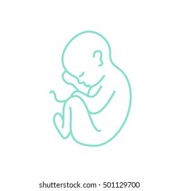 fetus icon. vector illustration