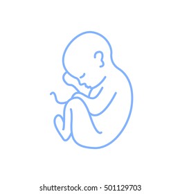 fetus icon. vector illustration