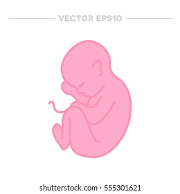 fetus icon. vector illustration
