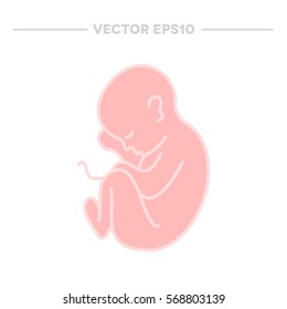 fetus icon. vector illustration