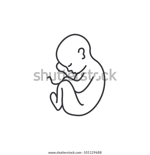 Fetus Icon Vector Illustration Stock Vector Royalty Free 501129688 Shutterstock 