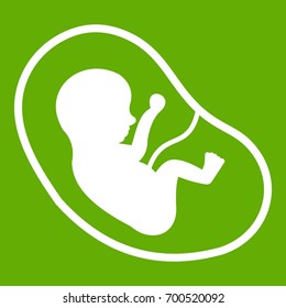 Fetus icon white isolated on green background. Vector illustration