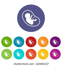 Fetus icons set in circle isolated flat vector illustration