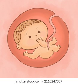 Fetus inside the womb, Beloved baby.
