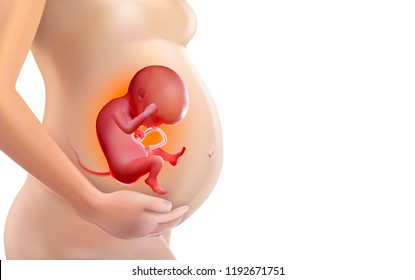 Fetus in mother's womb 