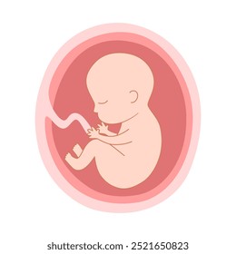 Fetus in mother's womb in flat design. Human embryo with the umbilical cord.