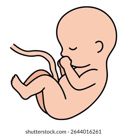 fetus newborn baby human life nature flat color vector illustration template design