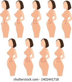 Fetus pregnancy. Changes in women during pregnancy for months. Illustration for infographics. Medical poster.

