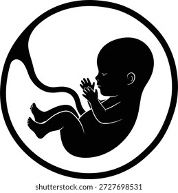 Silueta del feto dentro del útero con el cordón umbilical, pose prenatal rizada en blanco y negro para los temas médicos, de la biología, de la educación