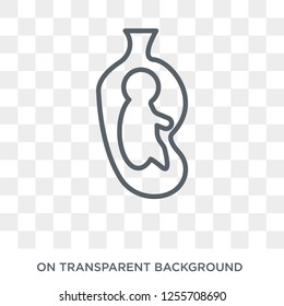Fetus in an uterus icon. Trendy flat vector Fetus in an uterus icon on transparent background from Human Body Parts collection. High quality filled Fetus in an uterus symbol use for web and mobile