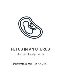 Fetus in an uterus outline vector icon. Thin line black fetus in an uterus icon, flat vector simple element illustration from editable human body parts concept isolated stroke on white background