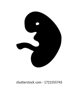 Fetus vector icon, human early child foetus, embryonic stage, minimalist vector illustration symbol
