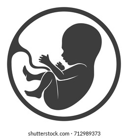 Fetus vector icon, prenatal human child with placenta silhouette isolated on white background