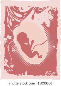 fetus  vector illustration