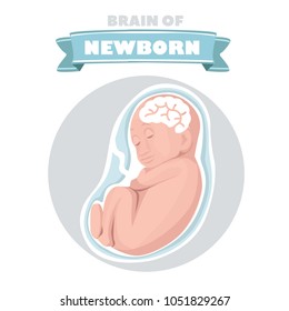 Fetus vector illustration, prenatal human child with placenta silhouette isolated on white background