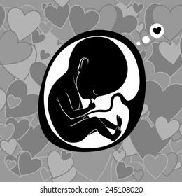 fetus in womb vector illustration