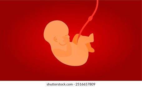 Fetus in Womb Vector Illustration