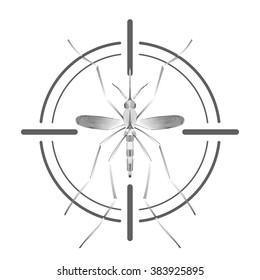 Fever mosquito species aedes aegyti in grey aim isolated on white background