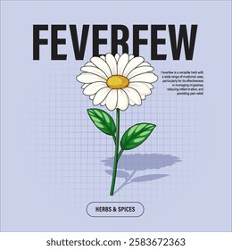 Feverfew Premium Vector Clipart High-Quality Illustration for Cooking Branding and Packaging