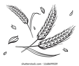 a few ears of wheat on a beige background hand drawing vector illustration sketch