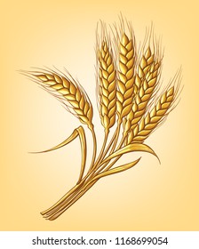 a few ears of wheat on a beige background hand drawing vector illustration sketch