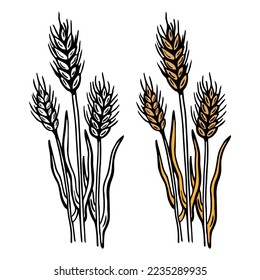 a few ears of wheat on a beige background hand drawing vector illustration sketch