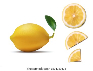 A Few Lemon Slices And Fruit With Leave On White Background. EPS10 Vector