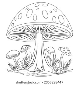 A few mushrooms. Children's coloring book. Large mushroom fly agaric