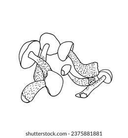 Few plucked wild mushrooms, drawn in the style of doodles. Vector EPS10.