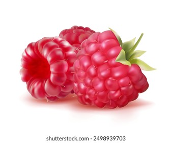 A few raspberries on a white background. Vector illustration