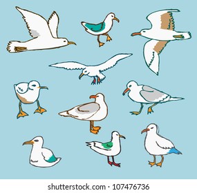 few seagulls