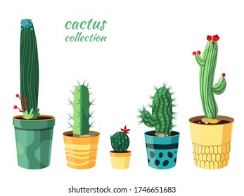
A few simple stylized cacti in pots. Vector illustration isolated on white background for your design and cards.