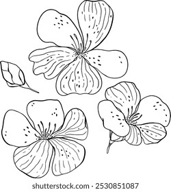 a few sketches of flowers. cute doodle petals. flowers for decoration
