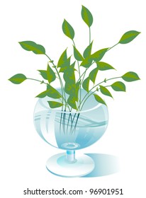 A few stalks of green plants are in a transparent glass