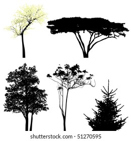 few trees - vector collection