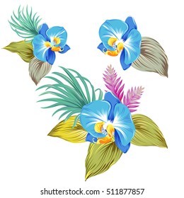 few vector orchid bouquets. Tropical flowers and leaves, beautiful botanical llustration, isolated on white, editable. for stickers, card, invitations, beautiful floral.