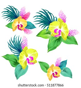 few vector orchid bouquets. Tropical flowers and leaves, beautiful botanical llustration, isolated on white, editable. for stickers, card, invitations, beautiful floral.
