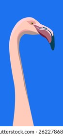  fFamingo icon illustration. Color flamingo icon